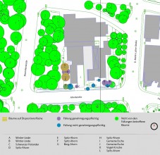 (4) Die Grafik zeigt, welche Bäume wo weg müssen. © Stadt Regensburg.jpg